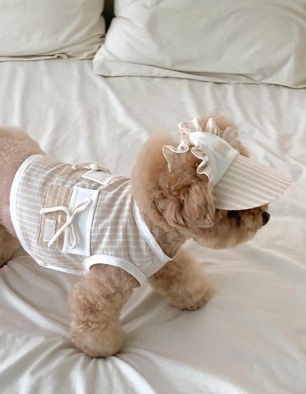 DURANG RURANG summer cotton dog outfit