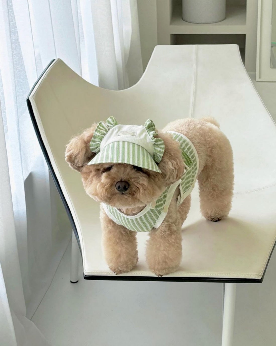 DURANG RURANG summer cotton dog outfit