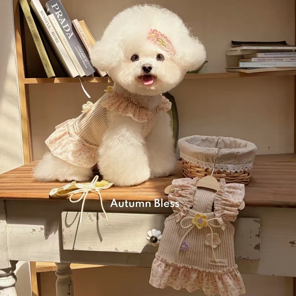 Autumn Bless flutter sleeve floral gingham dog dress