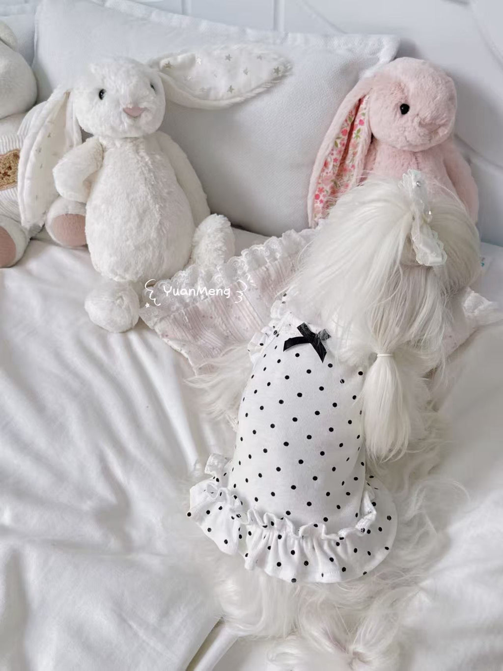 Polka dot matching set for dog and owner