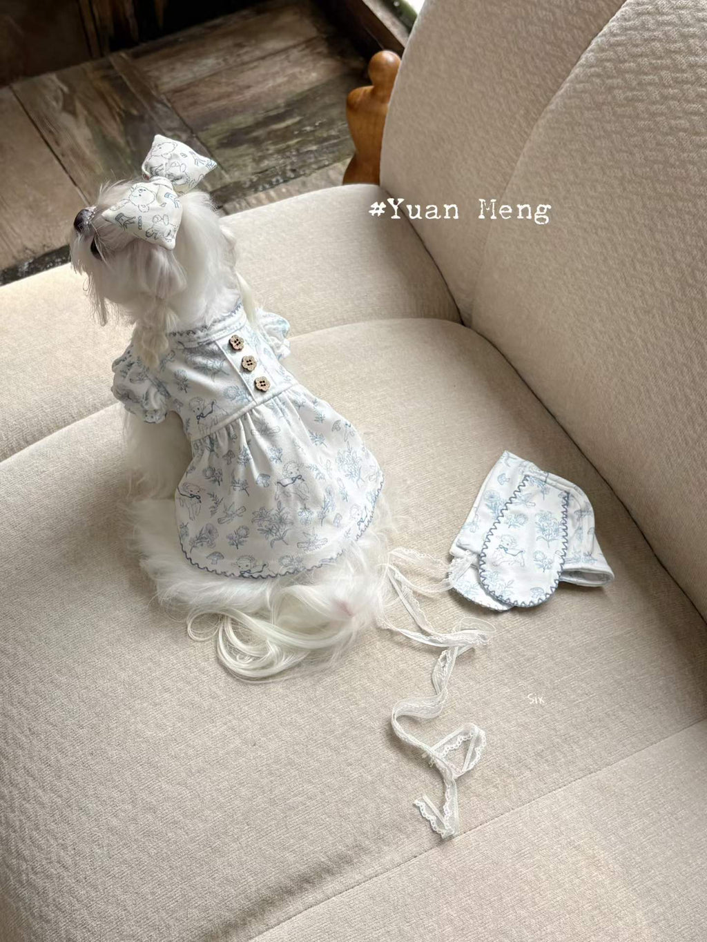 YuanMeng | Retro Dog 🐑